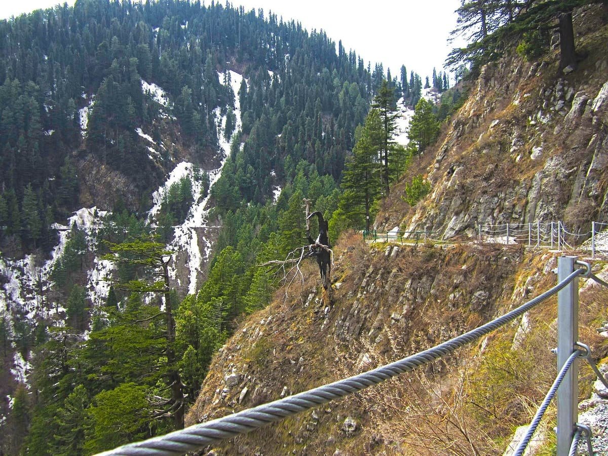 The railed Pipeline Track hugs a rocky cliff above a pine forest valley with patches of late snow.