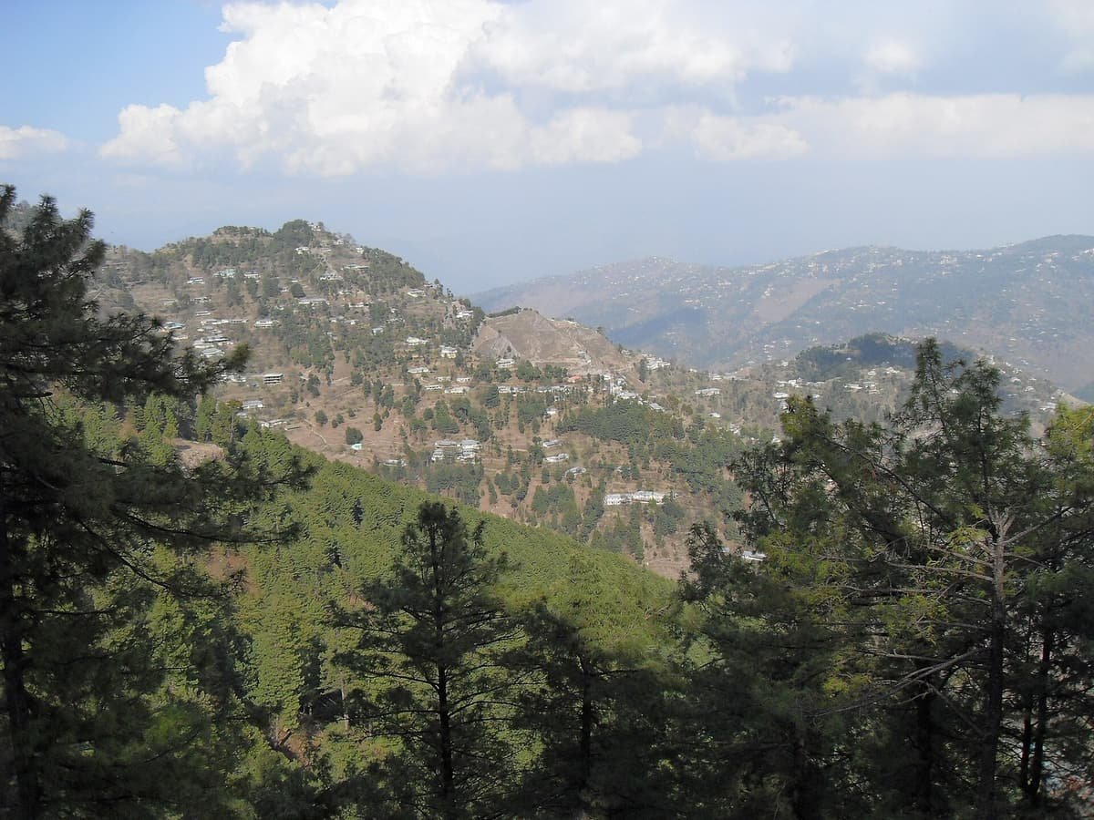Houses scattered across a pine-covered hill near Murree, with forested ridges fading into haze beyond.