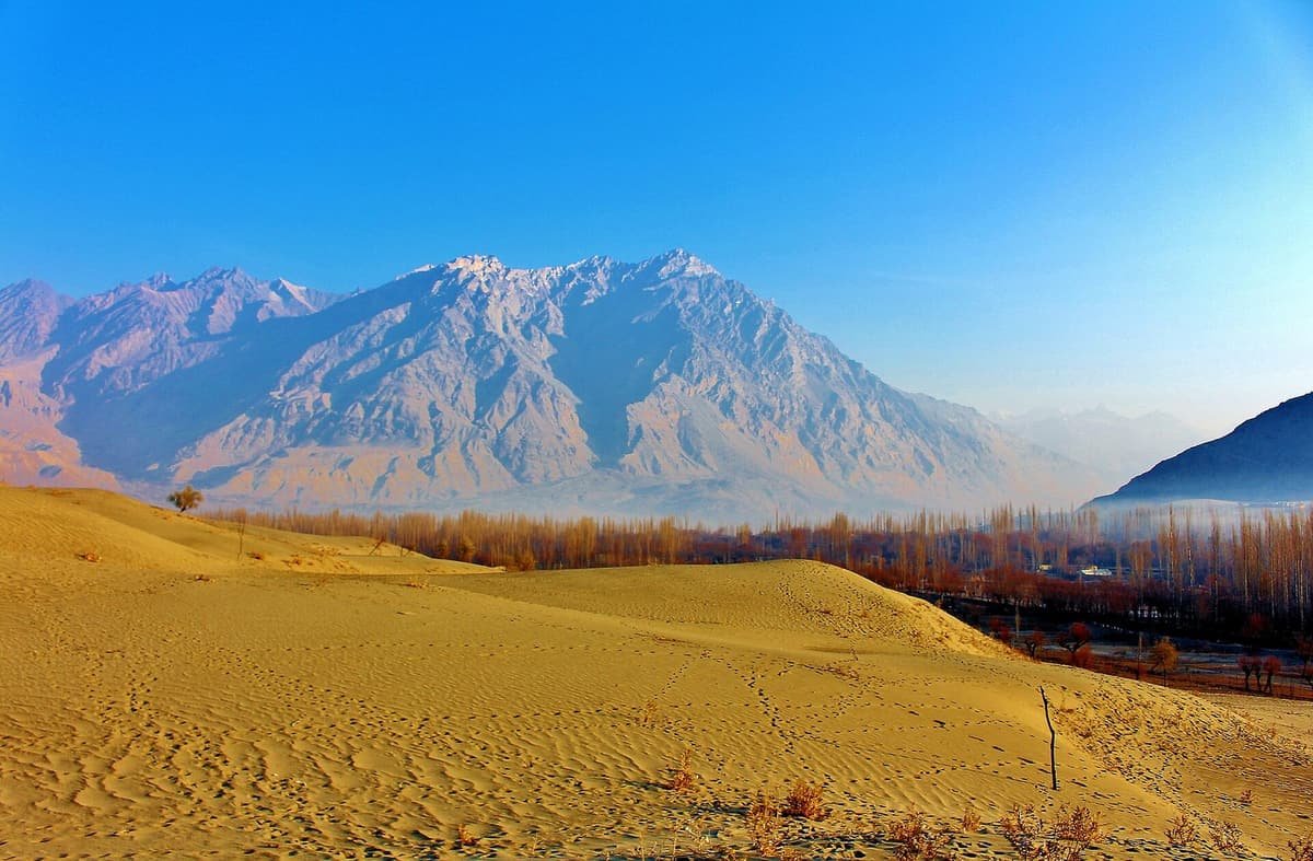 Rippled golden sand dunes of the Katpana desert lead to bare poplars and a hazy grey mountain range under a clear sky.
